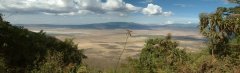 22-Ngorongoro crater from the rim, looking north